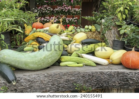 Asian Fresh Vegetables and multicolored pumpkins