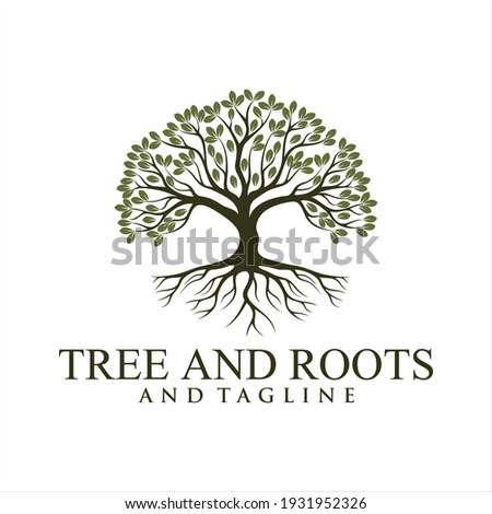 Abstract vibrant tree logo design, root vector - Tree of life logo design inspiration isolated on white background.