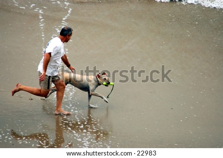 Man and dog running on the beach