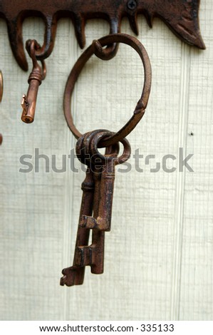 Ring of antique iron skeleton keys hanging on a hook