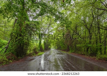 Similar – Image, Stock Photo wet grass Trip Freedom