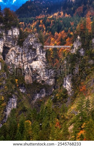 Similar – Image, Stock Photo Marienbrücke in Schwangau