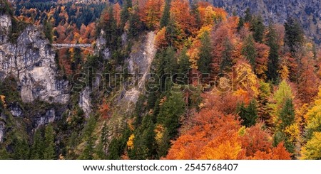 Similar – Image, Stock Photo Marienbrücke in Schwangau