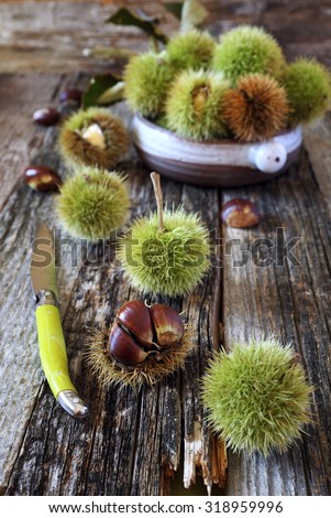 Close up of sweet chestnuts