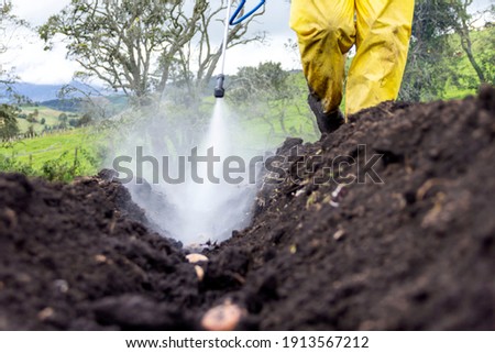 Farmer applying insecticide products on potato seeds, sowing potato seeds with protection for disease control, PPE agro ストックフォト © 