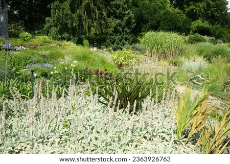 Similar – Foto Bild Brandenburgische Steppe