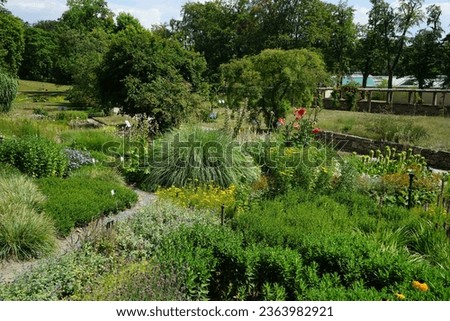 Similar – Foto Bild Brandenburgische Steppe