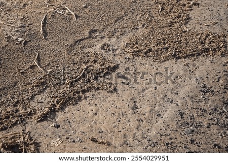 Similar – Image, Stock Photo Lady sitting on sandy coast near sea