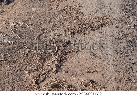Similar – Image, Stock Photo Lady sitting on sandy coast near sea