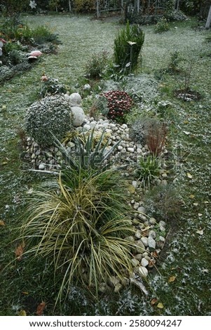 Similar – Image, Stock Photo Frozen branches of chrysanthemum. Green leaves covered with morning frost. Top view. Closeup.