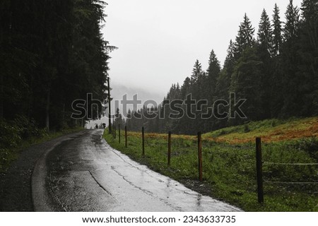 Similar – Foto Bild Nebel über asphaltierter Bergstraße