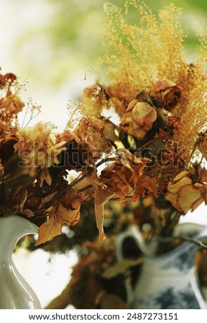 Similar – Image, Stock Photo Vase with dried flowers and shadow play