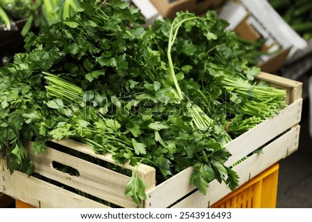 Similar – Image, Stock Photo Vegan dish with parsley