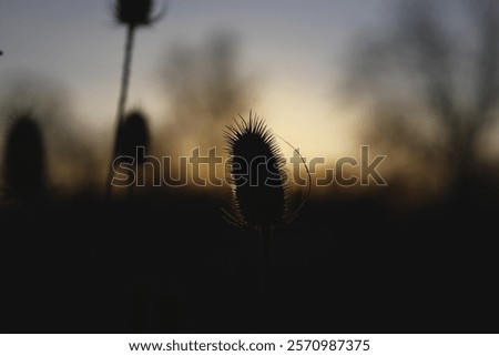 Similar – Image, Stock Photo The last rays of light come through the cloud cover. The vast land is already shrouded in darkness.
