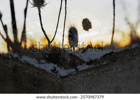Similar – Image, Stock Photo The last rays of light come through the cloud cover. The vast land is already shrouded in darkness.