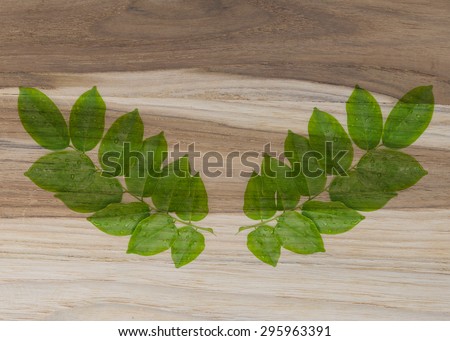 Water drops on fresh green leaves screen on wood background