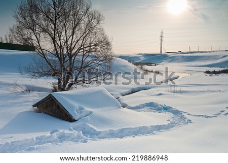 Winter sunny landscape panorama with tree and snow-covered road.