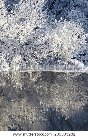 Beautiful reflection in the water of winter trees covered with frost. Nice winter Christmas background.