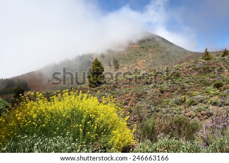 Beautiful landscape with clouds and mountain meadow in nice day.