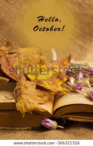 Label with words hello october and opened book with dry yellow maple leaves and everlasting flowers on sackcloth background