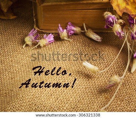 Banner with words hello autumn and the book with dry yellow maple leaves and everlasting flowers on sackcloth background