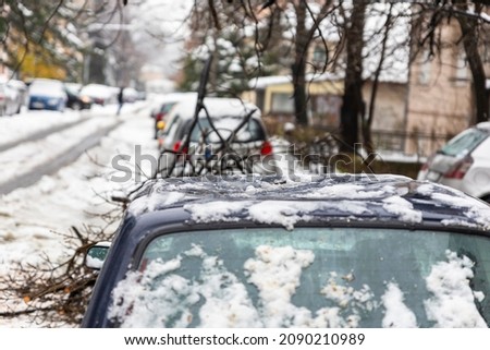 Similar – Image, Stock Photo Broken tree Tree