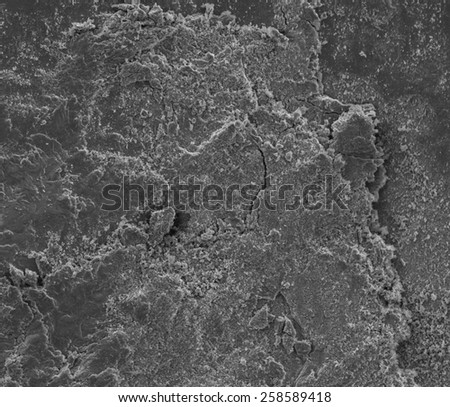 Laboratory test of cracks in a worn out metal sample seen with a scanning electron microscope