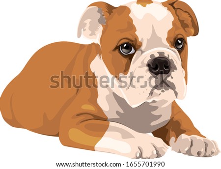 Shutterstock Puzzlepix