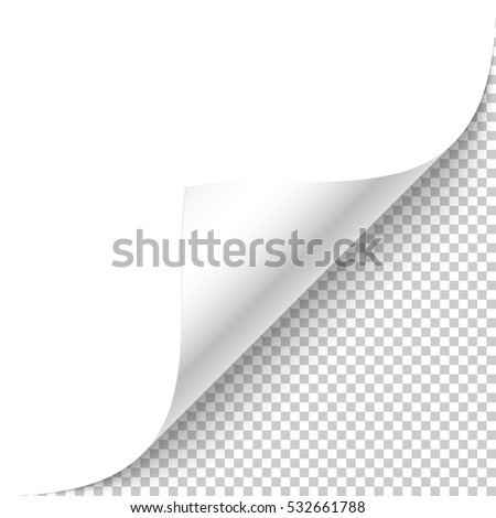 Blank white page curled corner with shadow on transparent background realistic vector illustration. 