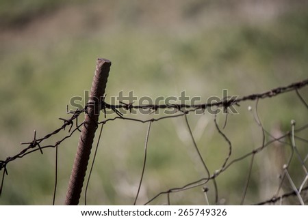 Barbed wire fence, selective focus on barbed wire. Human rights concept. Blurred green field on background. Empty space for text and typography.
