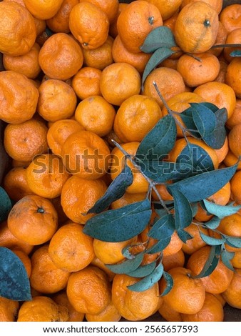 Similar – Image, Stock Photo Peeled and opened tangerine or Clementine