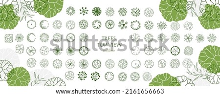 Tree for architectural floor plans. Entourage design. Various trees, bushes, and shrubs, top view for the landscape design plan. Vector illustration.