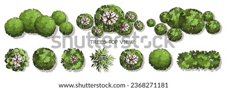 Group of trees for architectural floor plans. Entourage design. Various trees, bushes, and shrubs, top view for the landscape design plan. Vector illustration.