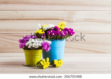 Dried flowers in bright colored buckets on the wooden background