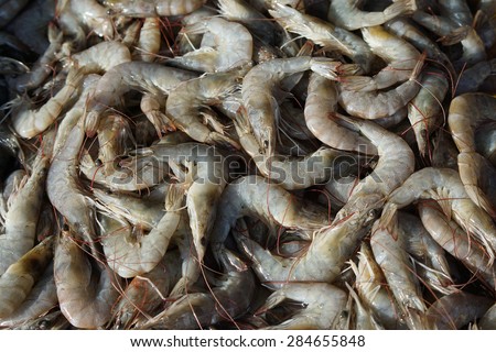 black tiger prawns at wet market