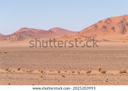 The natural scenery and arid environment of Namibia, Africa. Yellow background image. Foto stock © 