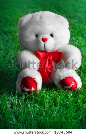 White teddy bear with the words I Love You written on its red paws