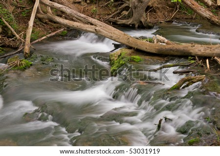 Cascade of water from a stream in the forest with a fallen tree branch crossing it.