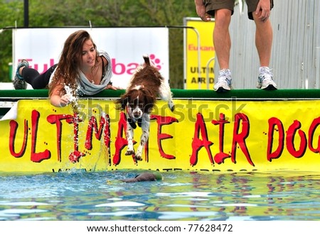 RICHMOND, VA - MAY 14: Beautiful Spaniel jumping from a ramp in a valiant effort to win a prize in  the Ultimate Air Dogs Competition during the Dominion Riverrock event May 14, 2011 in Richmond, VA.
