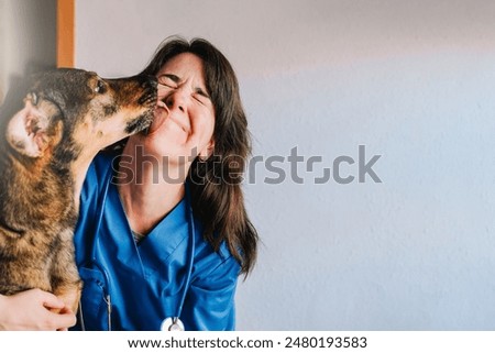 Similar – Image, Stock Photo woman and dog at the city, yellow background. woman reading a map. travel and tourism concept