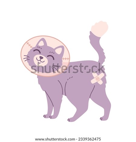 Cat in veterinary collar. Animal spay or neuter. Sterilization of pets. World spay day. Vector illustration in flat style