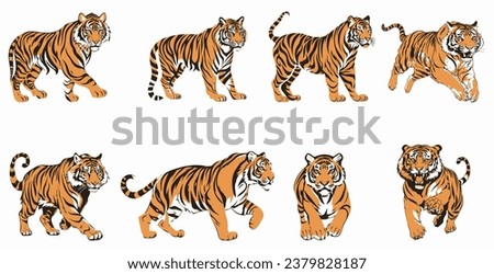 set of illustration of tigers. standing tiger running hunting pose. three colors. isolated on a white background. eps 10
