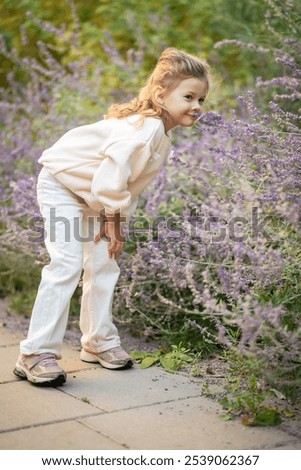 Similar – Image, Stock Photo Cute girl touching flowers in a french lavender field at sunset