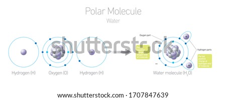  Water H2O molecule isotopes - example of polar molecule / Chemistry Vector Illustration