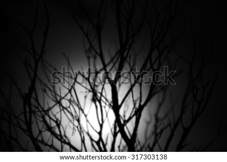 blurred. dead tree night time drak ness and the moon