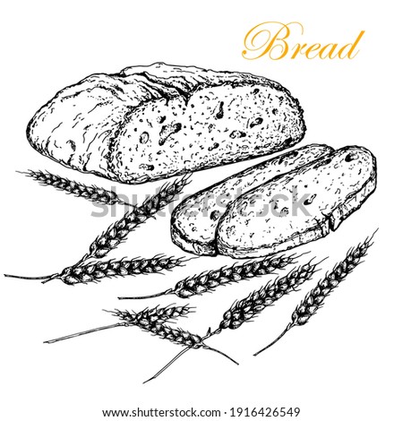 Half a loaf of bread with two slices cut off.Ears of wheat. Sketch. Black and white stock illustration. Isolated. On a white background. Bakery, bakery,packaging design.