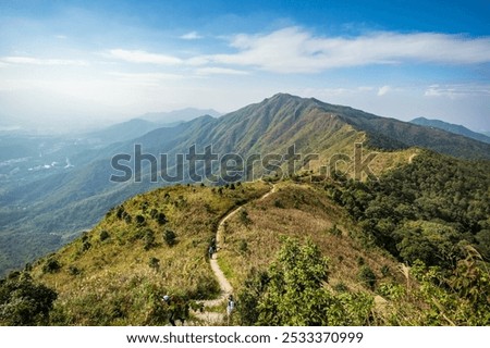 Similar – Image, Stock Photo Nature trail in a wetland area