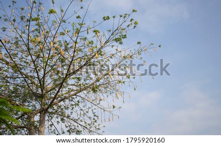 Shutterstock Puzzlepix