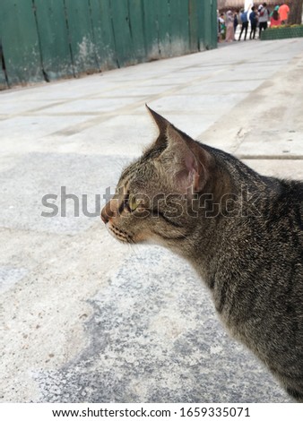 Similar – Image, Stock Photo far away | favorite place at the other end of the world