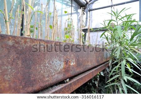 The old vegetable yard of Budapest with rust and ruin.